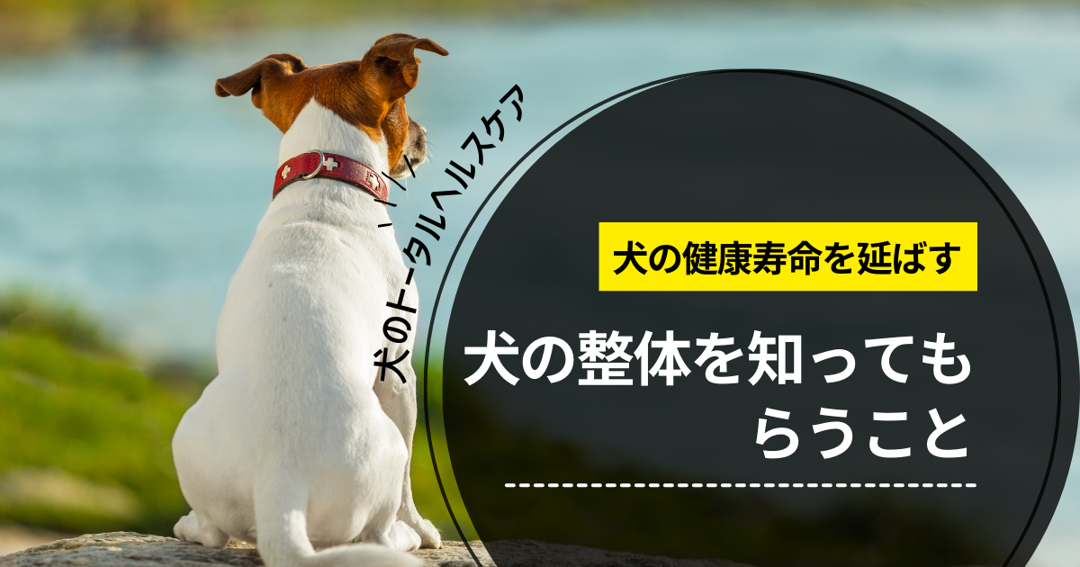 わんわん整体WanLife｜愛知・岐阜の犬の整体・メディセル筋膜リリース・温灸・食事療法｜BLOG｜犬の整体を知ってもらうこと