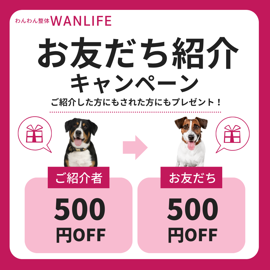 わんわん整体WanLife｜愛知・岐阜の犬の整体・メディセル筋膜リリース・オベロンアニマルスキャン・温灸・食事療法｜