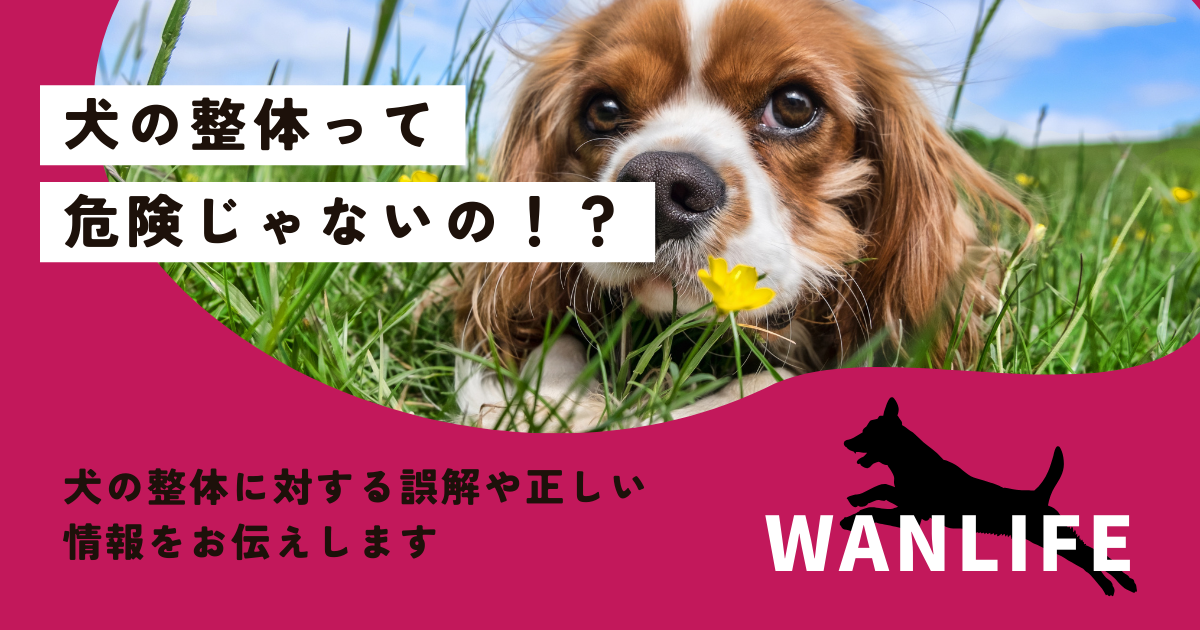 わんわん整体WanLife｜愛知・岐阜の犬の整体・メディセル筋膜リリース・オベロンアニマルスキャン・温灸・食事療法｜