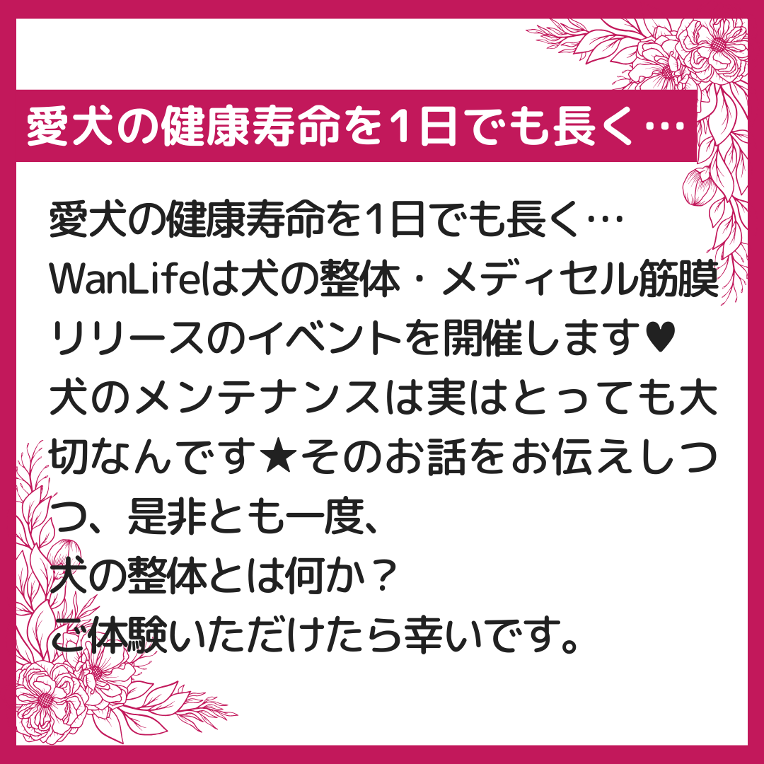 わんわん整体WanLife｜愛知・岐阜の犬の整体・メディセル筋膜リリース・オベロンアニマルスキャン・温灸・食事療法｜