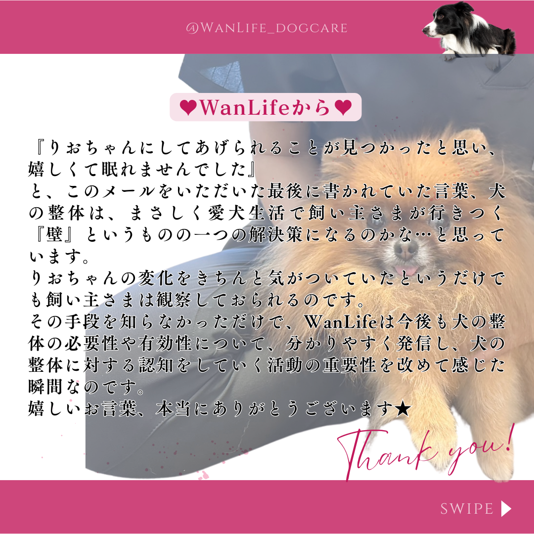 わんわん整体WanLife｜愛知・岐阜の犬の整体・メディセル筋膜リリース・オベロンアニマルスキャン・温灸・食事療法｜