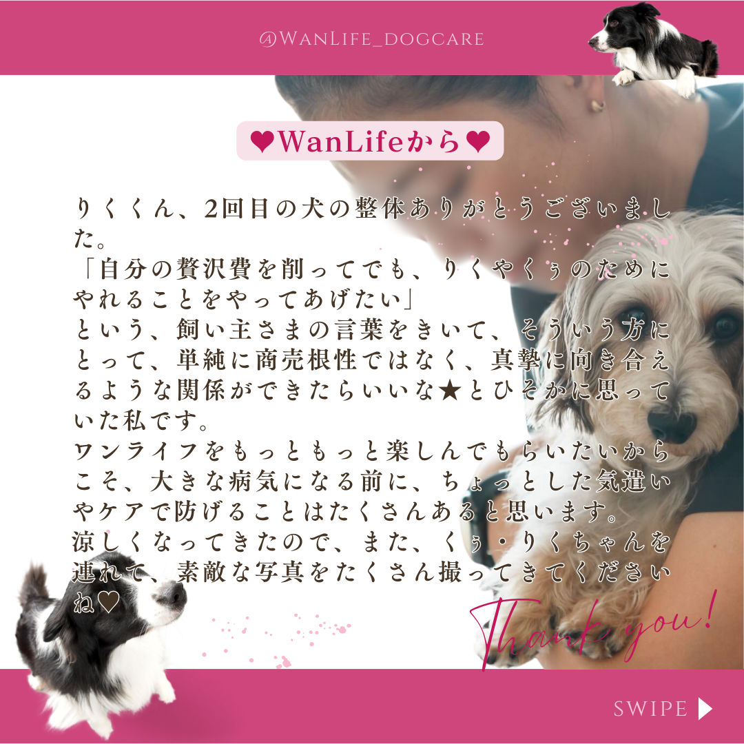 わんわん整体WanLife｜愛知・岐阜の犬の整体・メディセル筋膜リリース・オベロンアニマルスキャン・温灸・食事療法｜