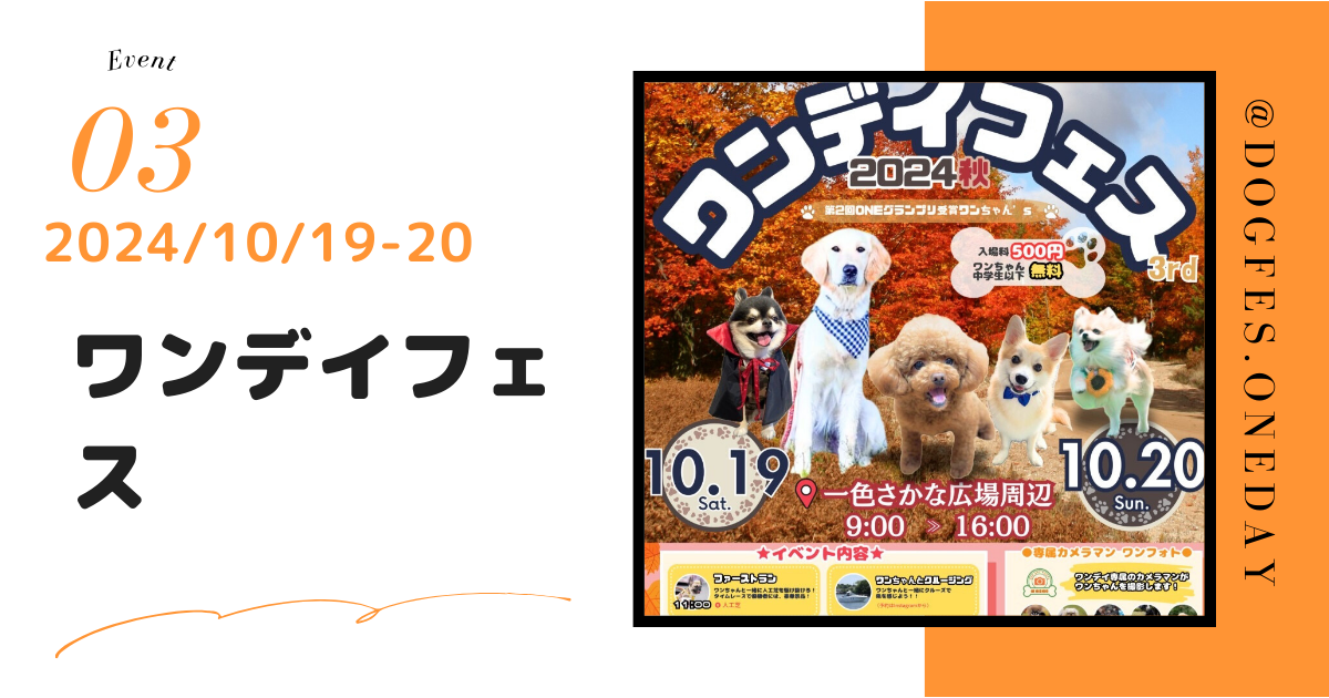 わんわん整体WanLife｜愛知・岐阜の犬の整体・メディセル筋膜リリース・オベロンアニマルスキャン・温灸・食事療法｜