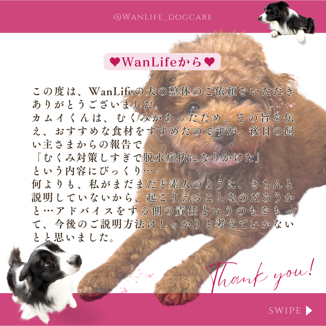 わんわん整体WanLife｜愛知・岐阜の犬の整体・メディセル筋膜リリース・オベロンアニマルスキャン・温灸・食事療法｜