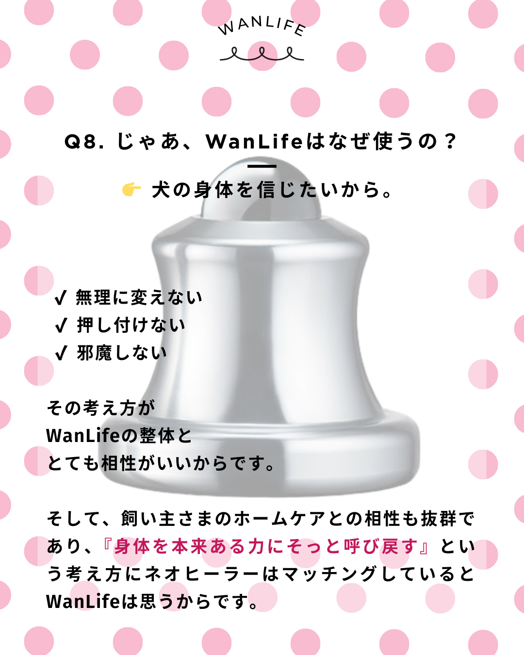 わんわん整体WanLife｜愛知・岐阜の犬の整体・メディセル筋膜リリース・オベロンアニマルスキャン・ネオヒーラー・温灸・食事療法｜