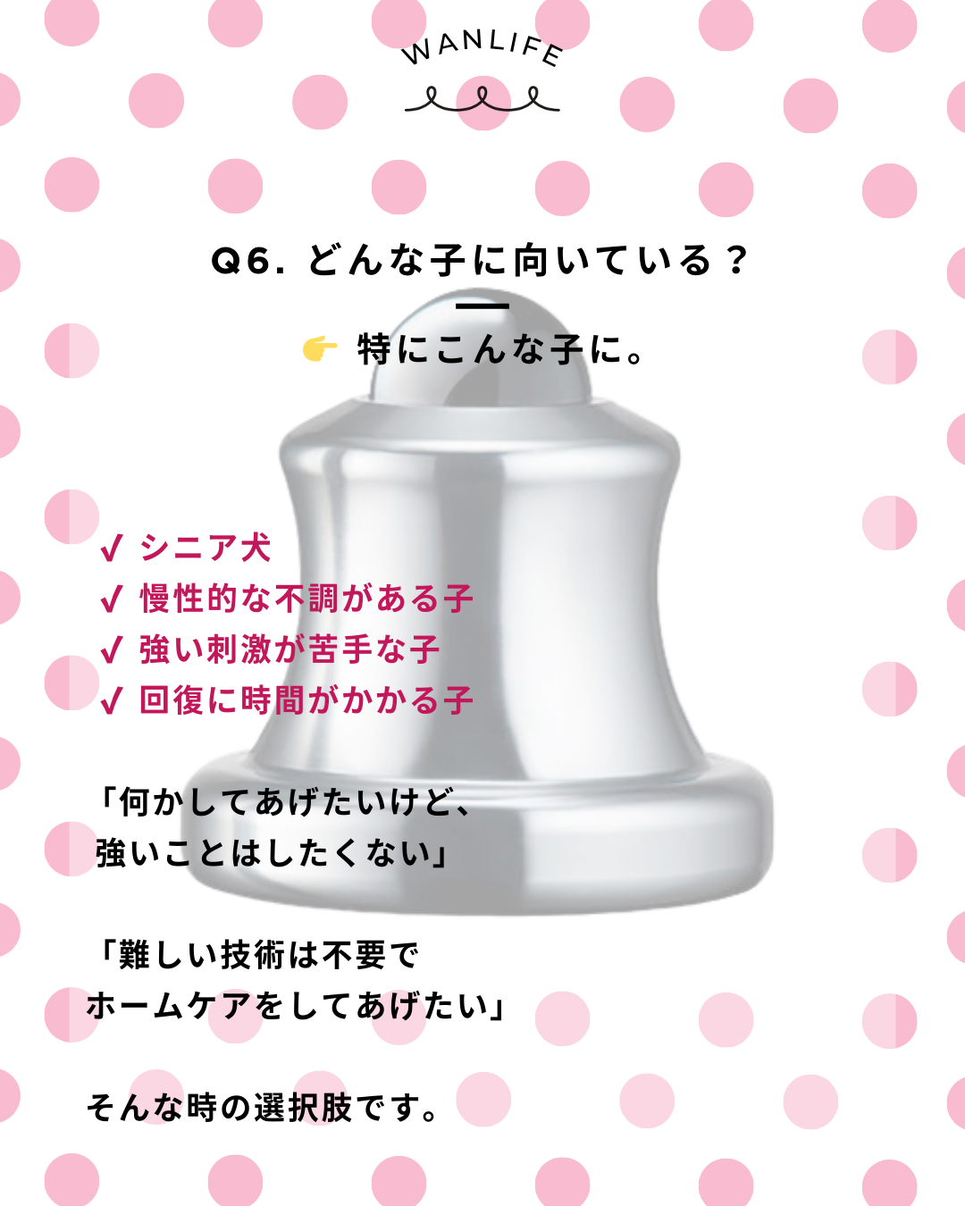 わんわん整体WanLife｜愛知・岐阜の犬の整体・メディセル筋膜リリース・オベロンアニマルスキャン・ネオヒーラー・温灸・食事療法｜