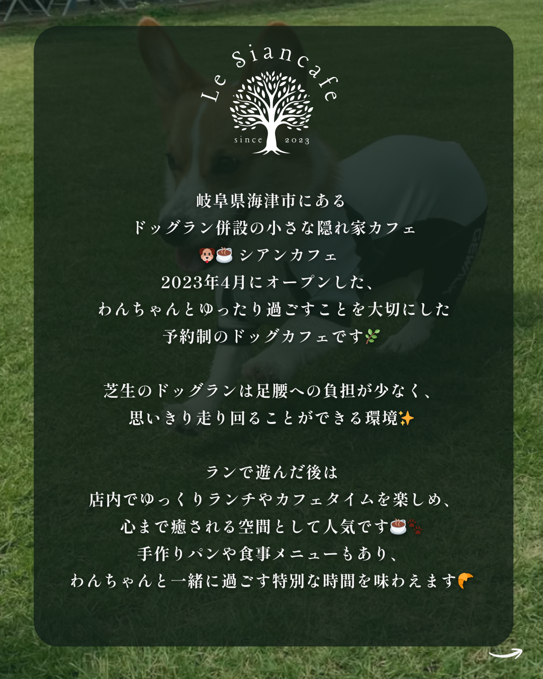 わんわん整体WanLife|愛知・岐阜の犬の整体・メディセル筋膜リリース・オベロンアニマルスキャン・ネオヒーラー・温灸・食事療法|