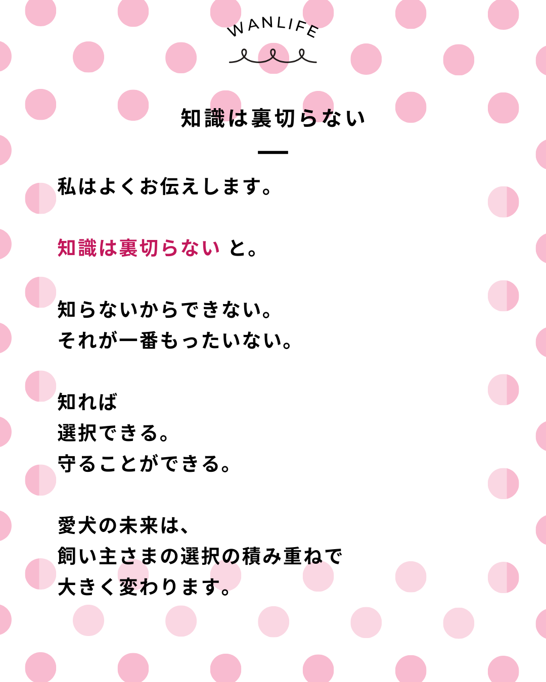 わんわん整体WanLife｜愛知・岐阜の犬の整体・メディセル筋膜リリース・オベロンアニマルスキャン・ネオヒーラー・温灸・食事療法｜
