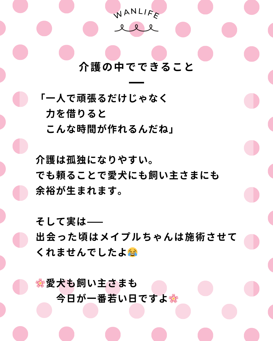 わんわん整体WanLife｜愛知・岐阜の犬の整体・メディセル筋膜リリース・オベロンアニマルスキャン・ネオヒーラー・温灸・食事療法｜