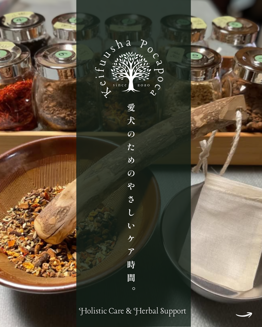 わんわん整体WanLife|愛知・岐阜の犬の整体・メディセル筋膜リリース・オベロンアニマルスキャン・ネオヒーラー・温灸・食事療法|