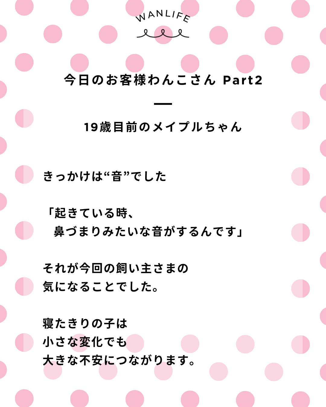 わんわん整体WanLife｜愛知・岐阜の犬の整体・メディセル筋膜リリース・オベロンアニマルスキャン・ネオヒーラー・温灸・食事療法｜