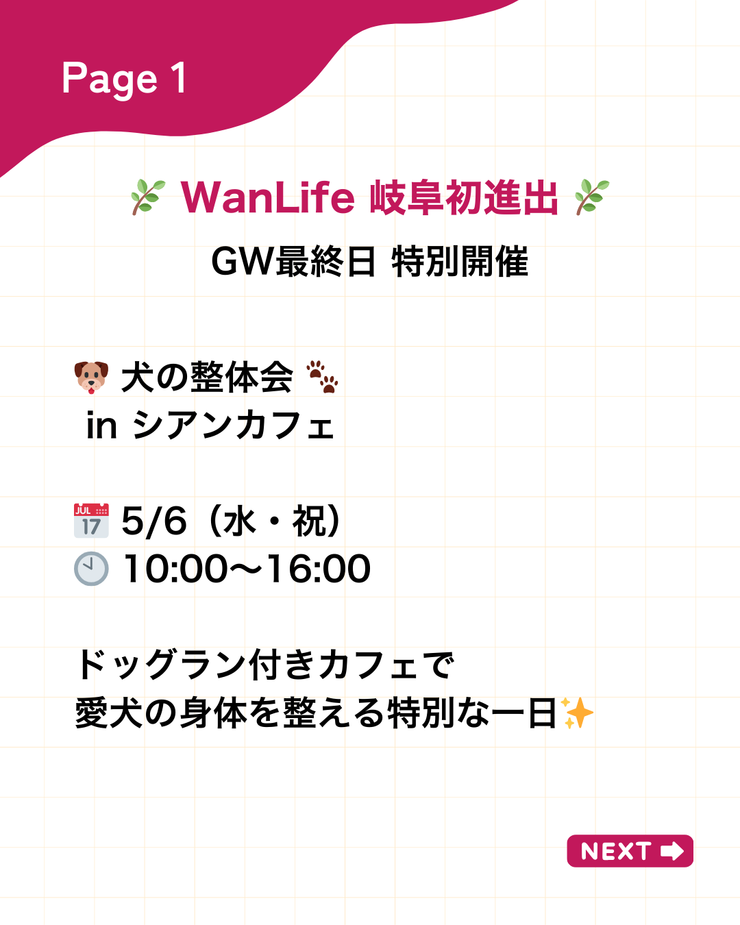 わんわん整体WanLife|愛知・岐阜の犬の整体・メディセル筋膜リリース・オベロンアニマルスキャン・ネオヒーラー・温灸・食事療法|