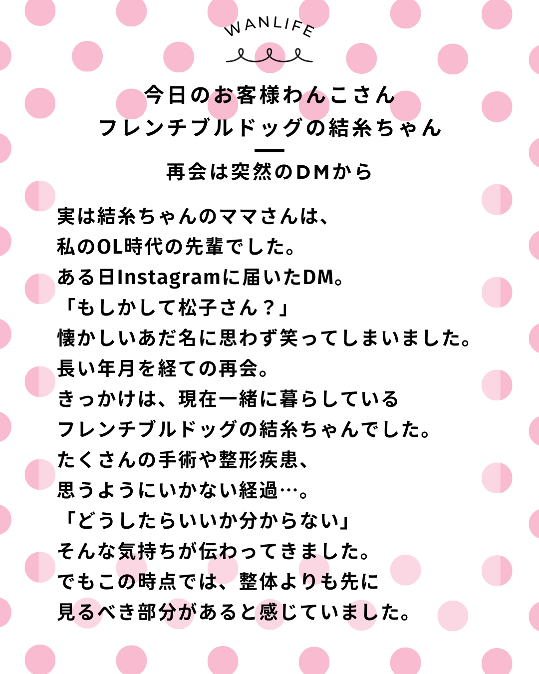 わんわん整体WanLife｜愛知・岐阜の犬の整体・メディセル筋膜リリース・オベロンアニマルスキャン・ネオヒーラー・温灸・食事療法｜