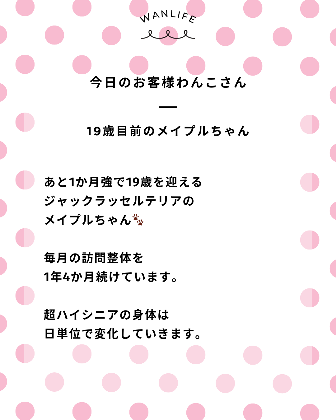 わんわん整体WanLife|愛知・岐阜の犬の整体・メディセル筋膜リリース・オベロンアニマルスキャン・ネオヒーラー・温灸・食事療法|
