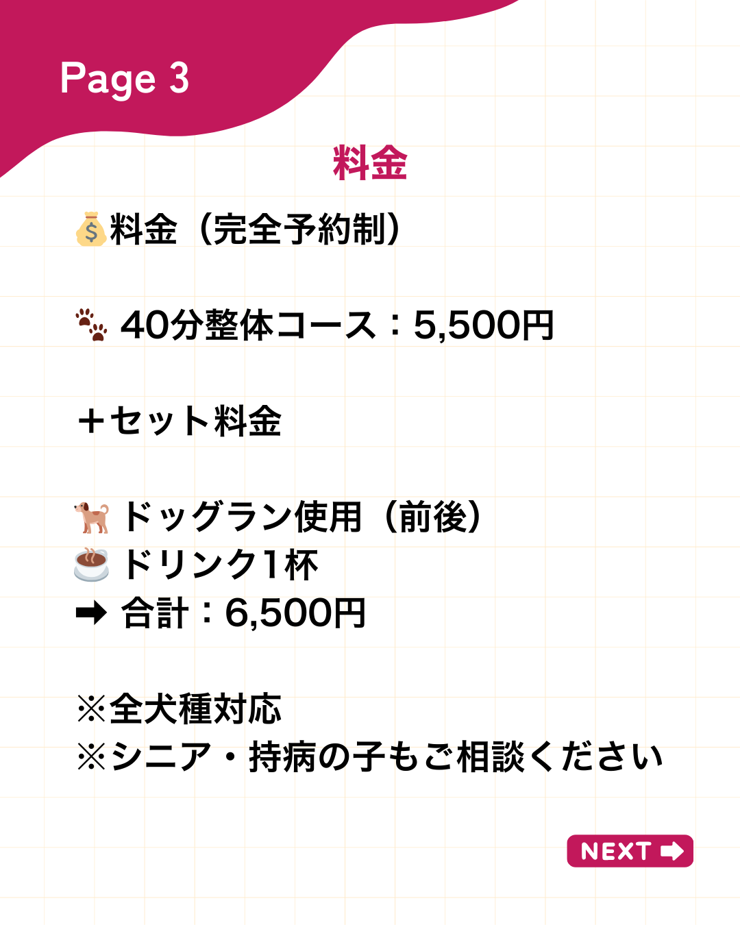 わんわん整体WanLife|愛知・岐阜の犬の整体・メディセル筋膜リリース・オベロンアニマルスキャン・ネオヒーラー・温灸・食事療法|