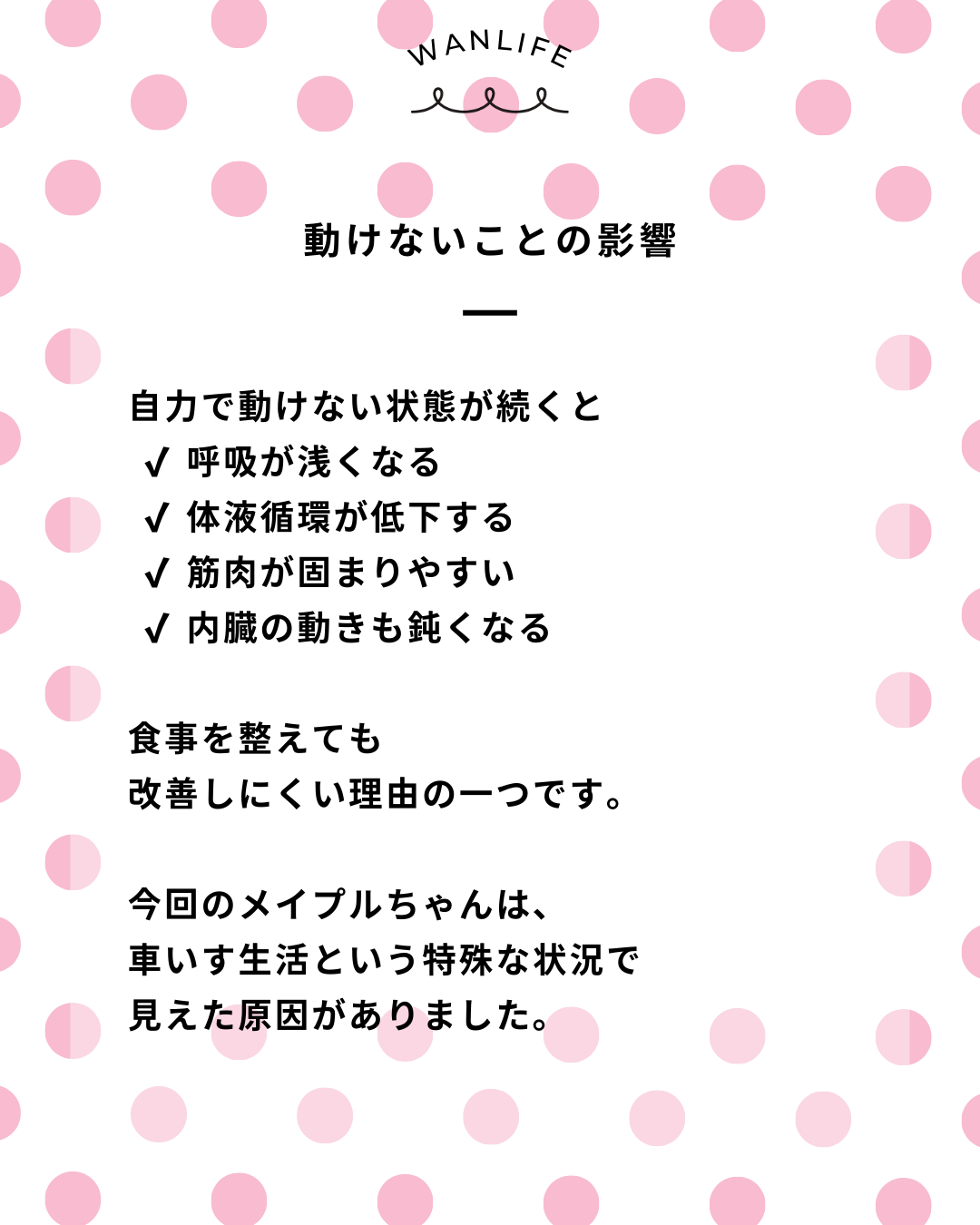 わんわん整体WanLife｜愛知・岐阜の犬の整体・メディセル筋膜リリース・オベロンアニマルスキャン・ネオヒーラー・温灸・食事療法｜