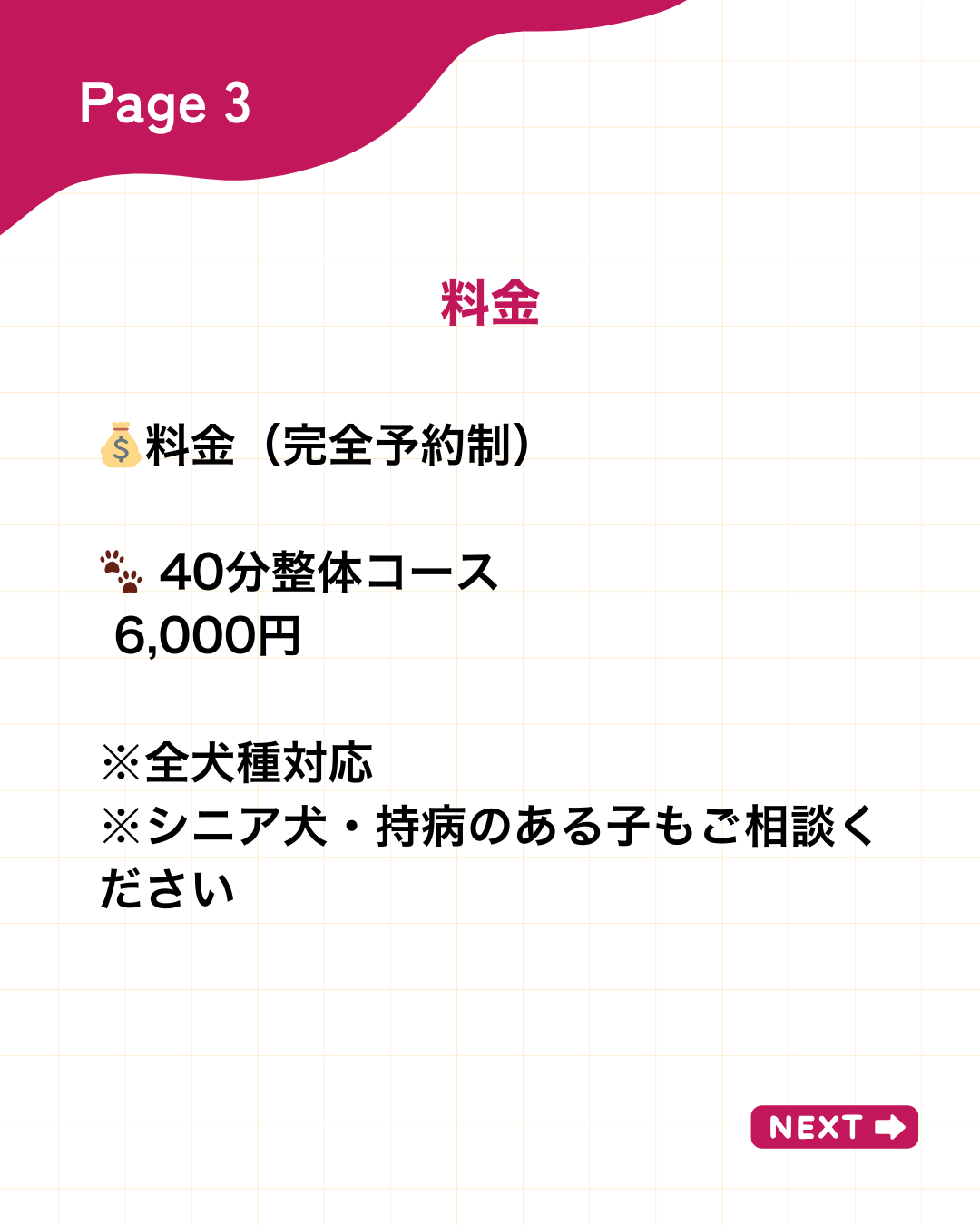 わんわん整体WanLife|愛知・岐阜の犬の整体・メディセル筋膜リリース・オベロンアニマルスキャン・ネオヒーラー・温灸・食事療法|
