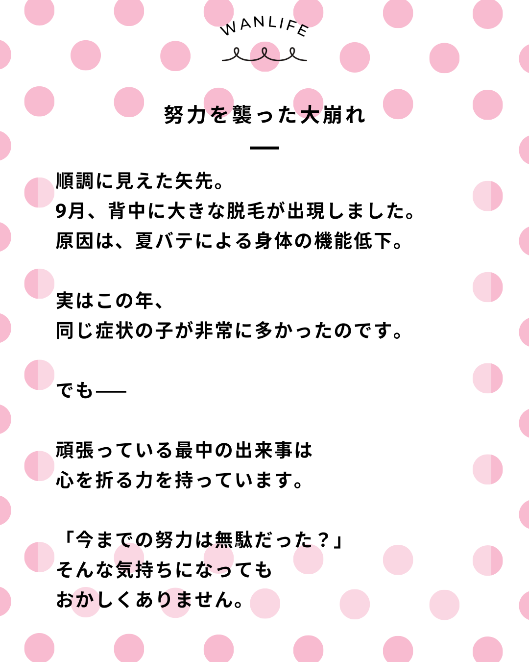 わんわん整体WanLife｜愛知・岐阜の犬の整体・メディセル筋膜リリース・オベロンアニマルスキャン・ネオヒーラー・温灸・食事療法｜