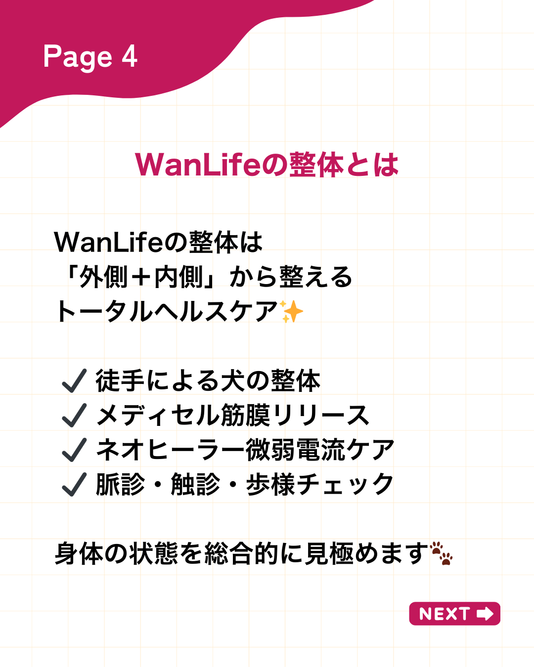 わんわん整体WanLife|愛知・岐阜の犬の整体・メディセル筋膜リリース・オベロンアニマルスキャン・ネオヒーラー・温灸・食事療法|