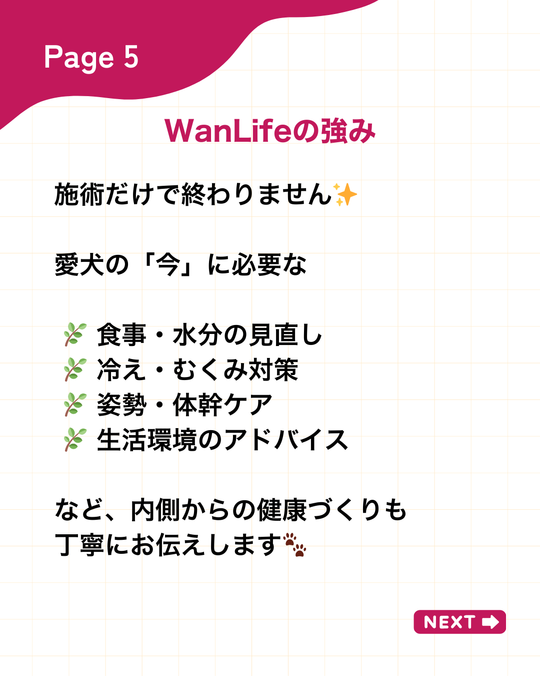 わんわん整体WanLife|愛知・岐阜の犬の整体・メディセル筋膜リリース・オベロンアニマルスキャン・ネオヒーラー・温灸・食事療法|