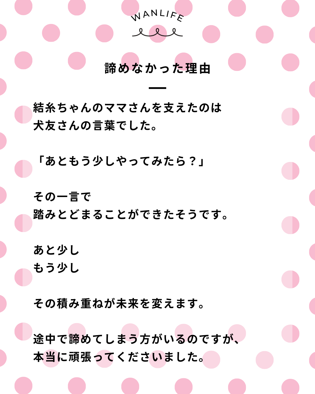 わんわん整体WanLife｜愛知・岐阜の犬の整体・メディセル筋膜リリース・オベロンアニマルスキャン・ネオヒーラー・温灸・食事療法｜