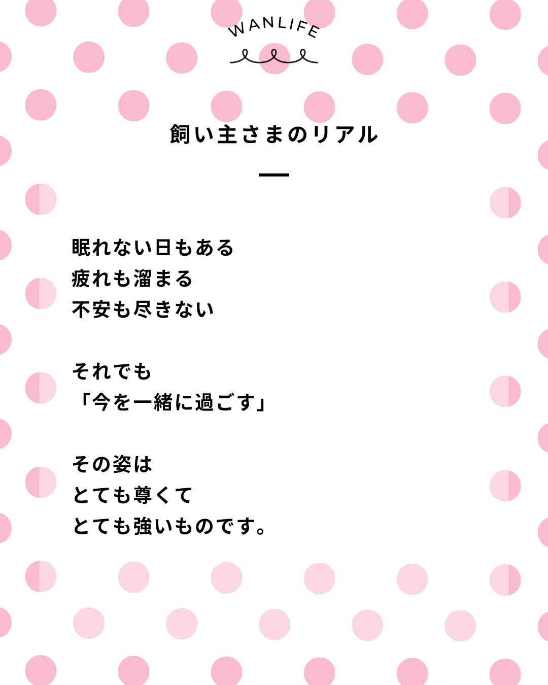 わんわん整体WanLife|愛知・岐阜の犬の整体・メディセル筋膜リリース・オベロンアニマルスキャン・ネオヒーラー・温灸・食事療法|