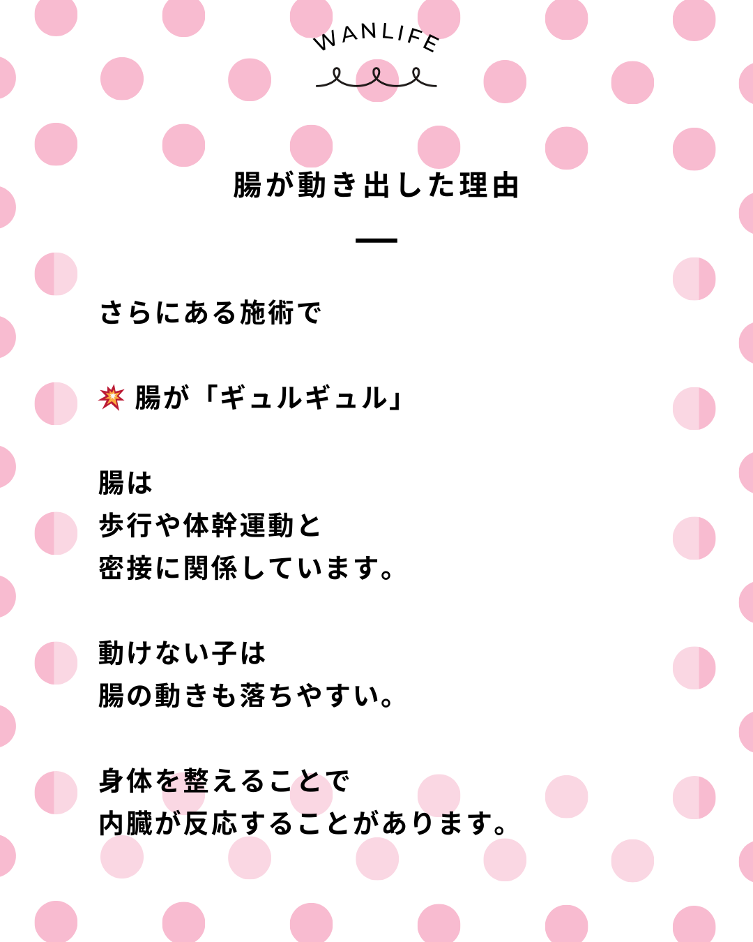 わんわん整体WanLife｜愛知・岐阜の犬の整体・メディセル筋膜リリース・オベロンアニマルスキャン・ネオヒーラー・温灸・食事療法｜