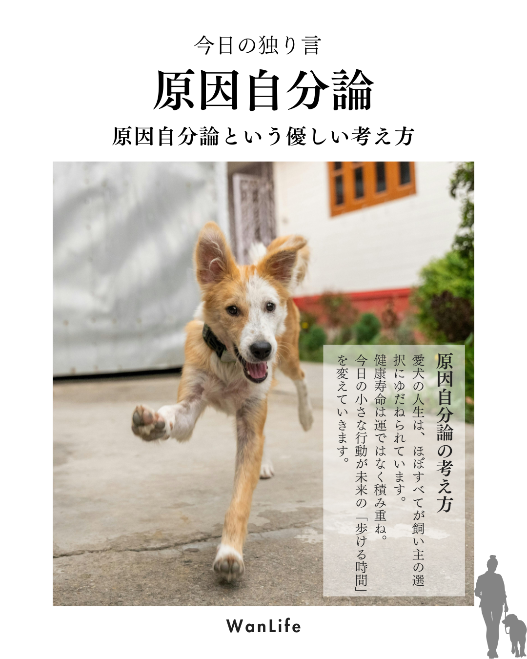 わんわん整体WanLife｜愛知・岐阜の犬の整体・メディセル筋膜リリース・オベロンアニマルスキャン・ネオヒーラー・温灸・食事療法｜