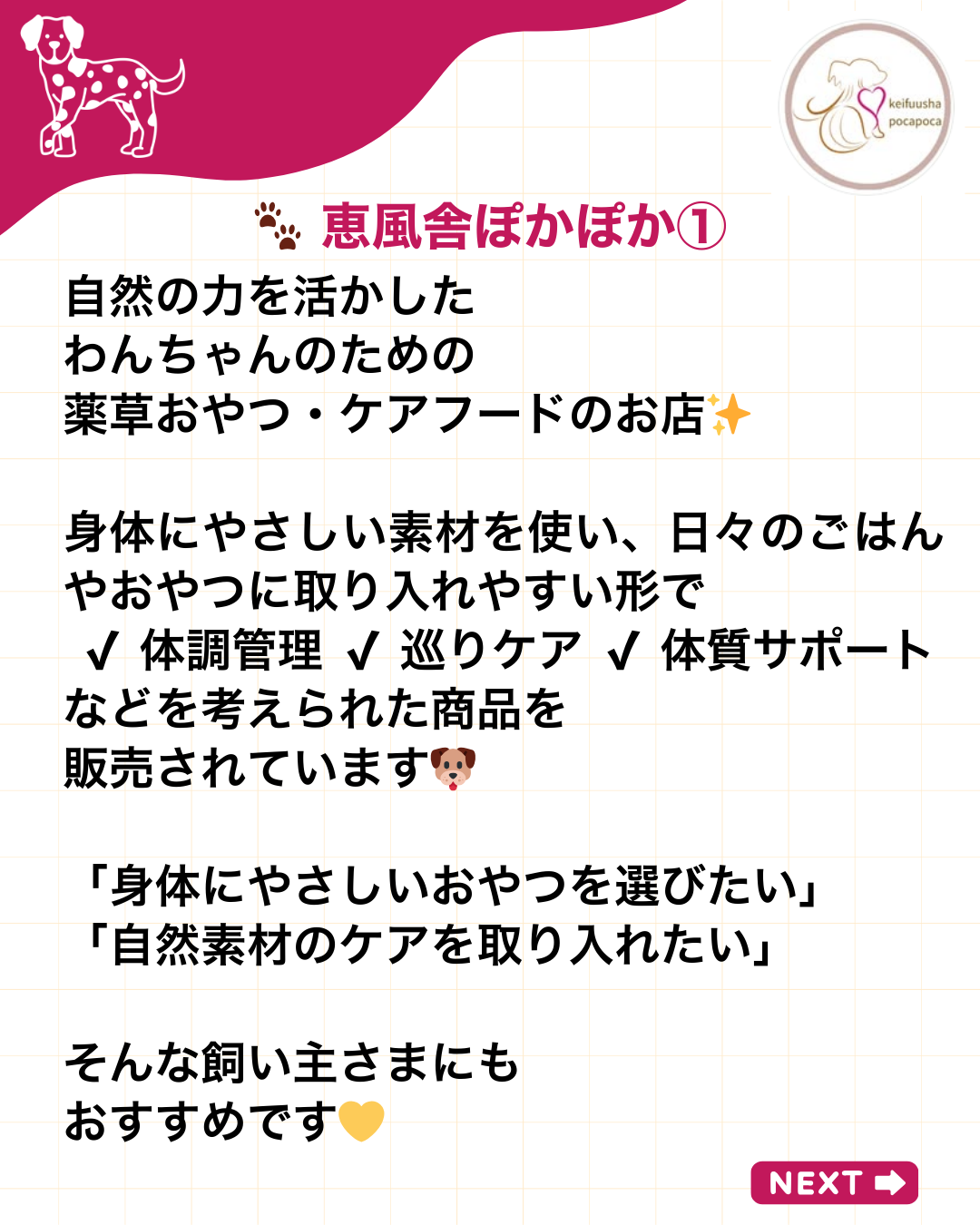 わんわん整体WanLife｜愛知・岐阜の犬の整体・メディセル筋膜リリース・オベロンアニマルスキャン・ネオヒーラー・温灸・食事療法｜