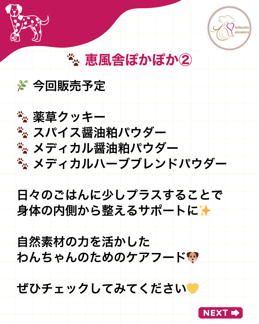 わんわん整体WanLife｜愛知・岐阜の犬の整体・メディセル筋膜リリース・オベロンアニマルスキャン・ネオヒーラー・温灸・食事療法｜