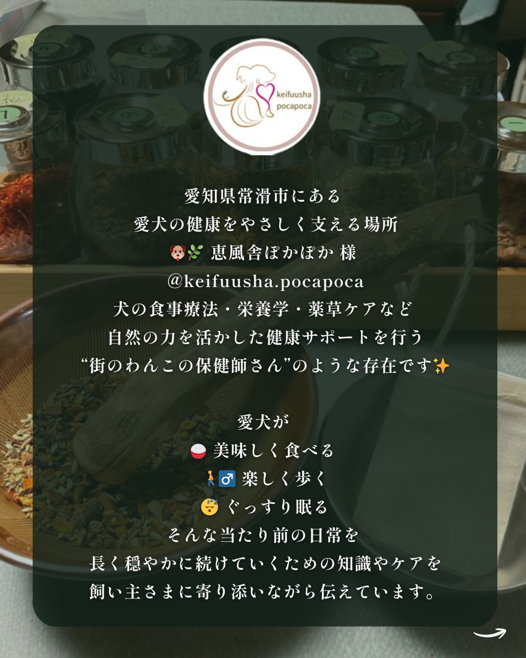 わんわん整体WanLife｜愛知・岐阜の犬の整体・メディセル筋膜リリース・オベロンアニマルスキャン・ネオヒーラー・温灸・食事療法｜