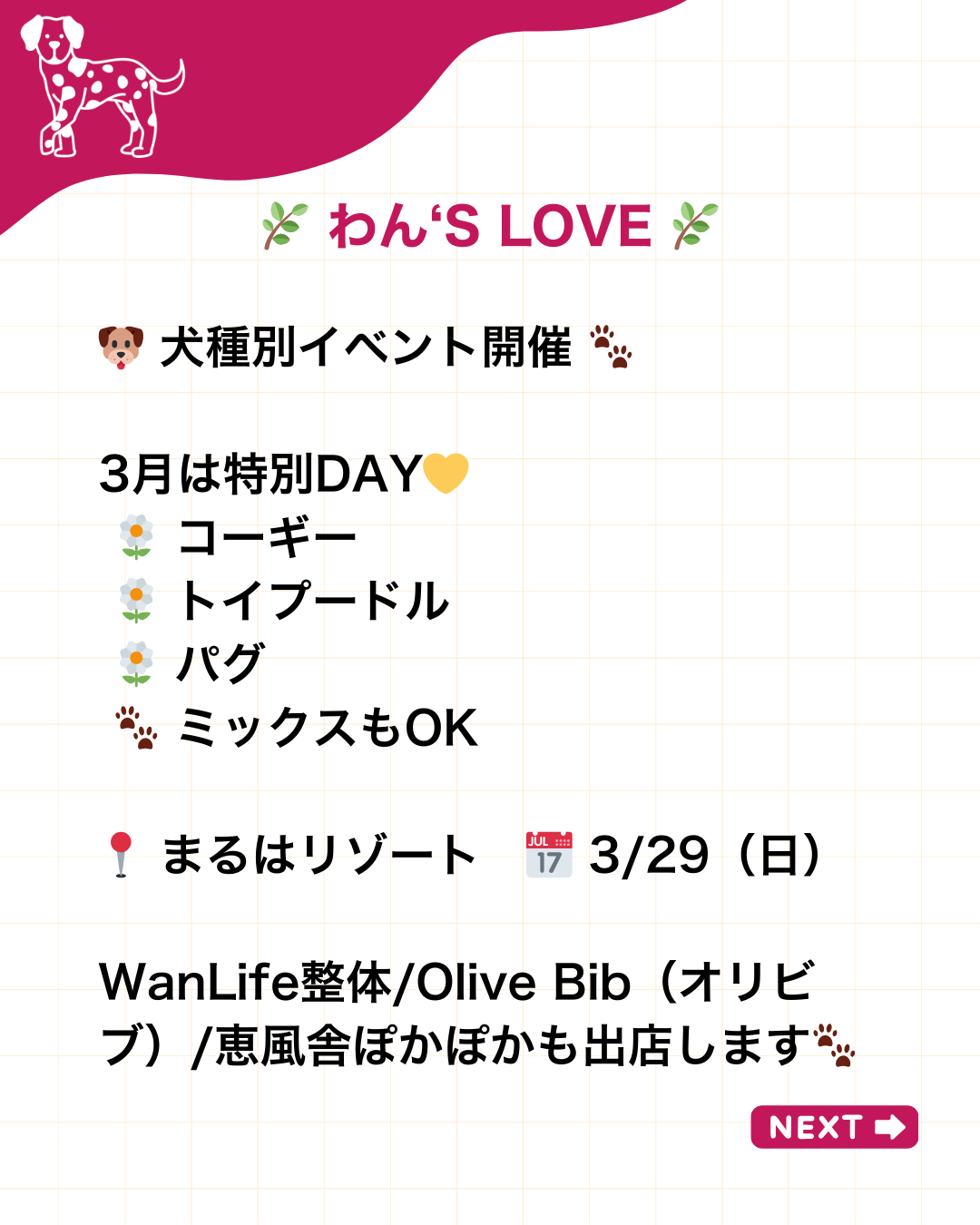 わんわん整体WanLife｜愛知・岐阜の犬の整体・メディセル筋膜リリース・オベロンアニマルスキャン・ネオヒーラー・温灸・食事療法｜