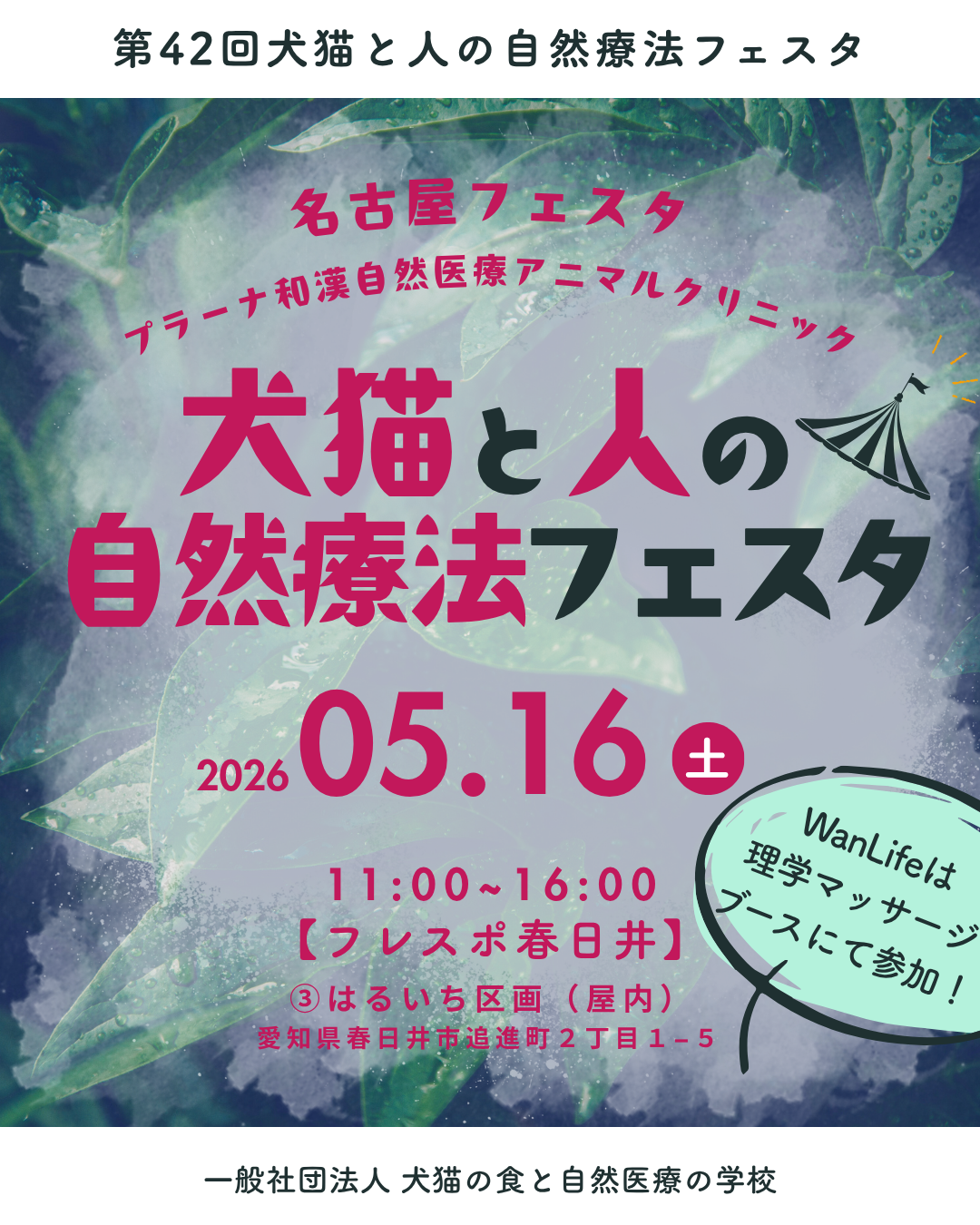 わんわん整体WanLife｜愛知・岐阜の犬の整体・メディセル筋膜リリース・オベロンアニマルスキャン・ネオヒーラー・温灸・食事療法｜