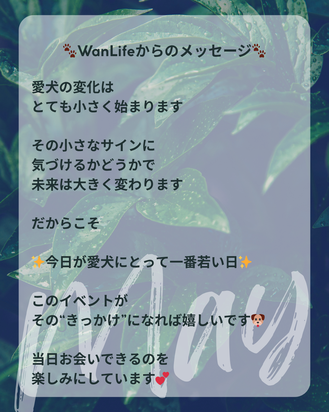 わんわん整体WanLife｜愛知・岐阜の犬の整体・メディセル筋膜リリース・オベロンアニマルスキャン・ネオヒーラー・温灸・食事療法｜