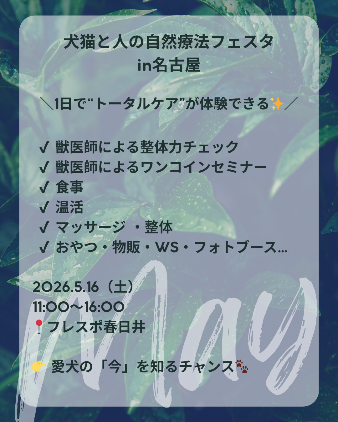 わんわん整体WanLife｜愛知・岐阜の犬の整体・メディセル筋膜リリース・オベロンアニマルスキャン・ネオヒーラー・温灸・食事療法｜