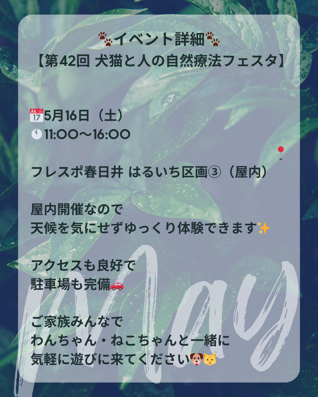 わんわん整体WanLife｜愛知・岐阜の犬の整体・メディセル筋膜リリース・オベロンアニマルスキャン・ネオヒーラー・温灸・食事療法｜