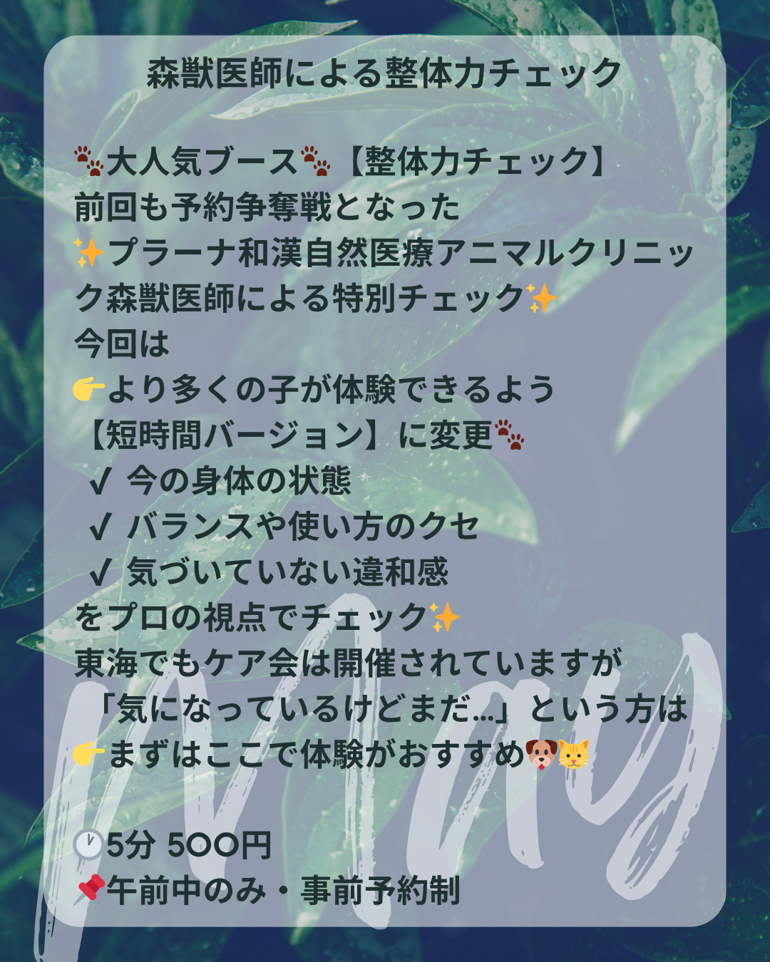 わんわん整体WanLife｜愛知・岐阜の犬の整体・メディセル筋膜リリース・オベロンアニマルスキャン・ネオヒーラー・温灸・食事療法｜