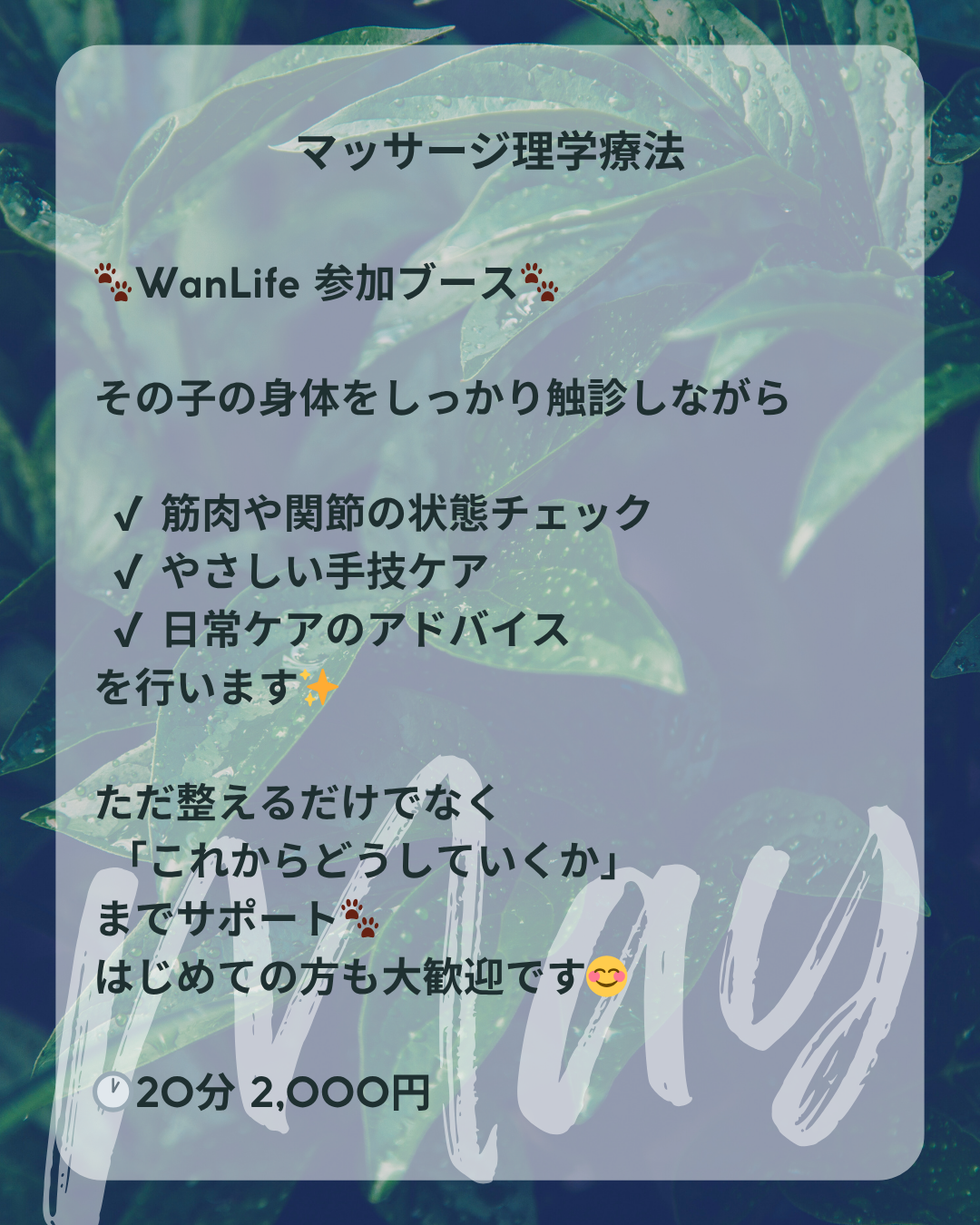 わんわん整体WanLife｜愛知・岐阜の犬の整体・メディセル筋膜リリース・オベロンアニマルスキャン・ネオヒーラー・温灸・食事療法｜