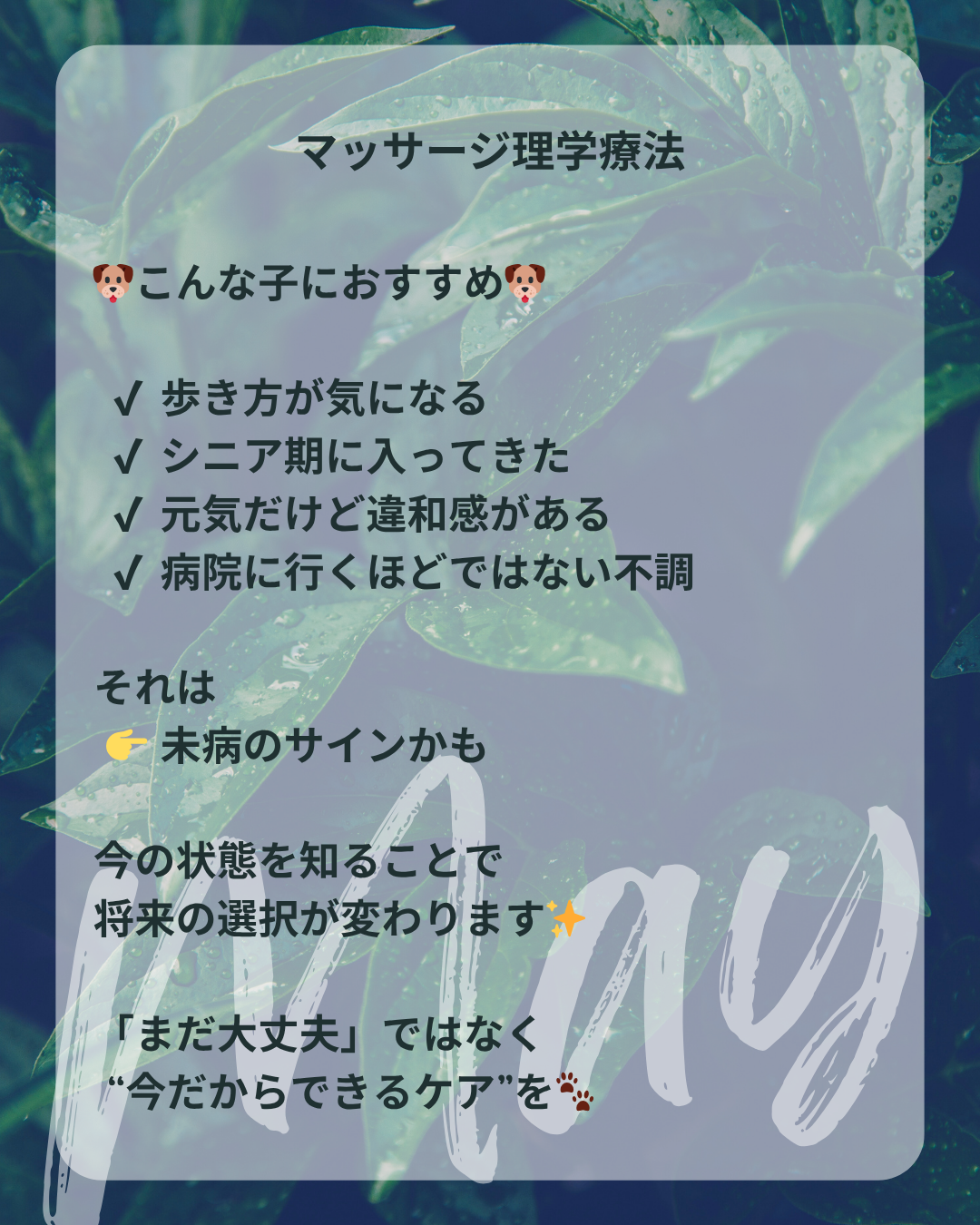 わんわん整体WanLife｜愛知・岐阜の犬の整体・メディセル筋膜リリース・オベロンアニマルスキャン・ネオヒーラー・温灸・食事療法｜