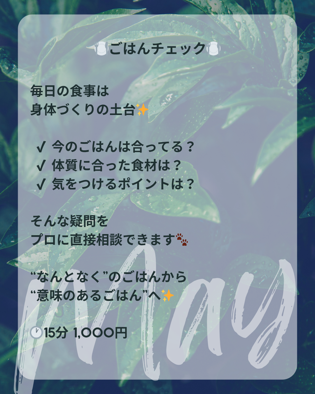 わんわん整体WanLife｜愛知・岐阜の犬の整体・メディセル筋膜リリース・オベロンアニマルスキャン・ネオヒーラー・温灸・食事療法｜