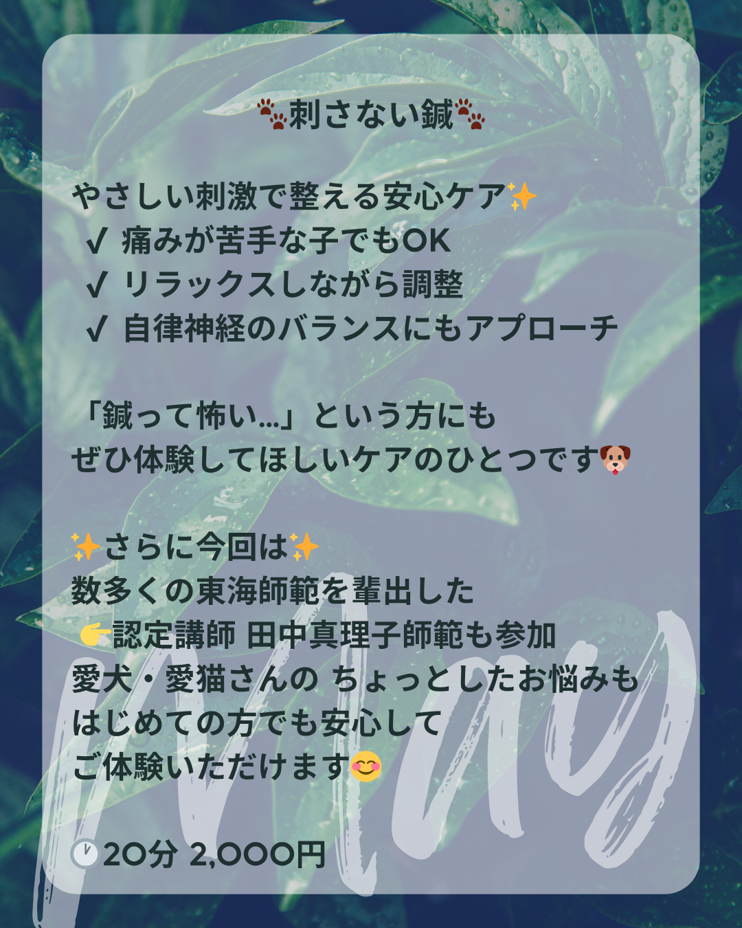 わんわん整体WanLife｜愛知・岐阜の犬の整体・メディセル筋膜リリース・オベロンアニマルスキャン・ネオヒーラー・温灸・食事療法｜