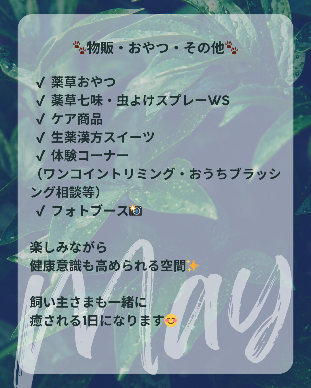 わんわん整体WanLife｜愛知・岐阜の犬の整体・メディセル筋膜リリース・オベロンアニマルスキャン・ネオヒーラー・温灸・食事療法｜