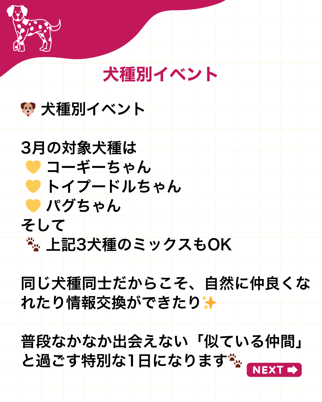 わんわん整体WanLife｜愛知・岐阜の犬の整体・メディセル筋膜リリース・オベロンアニマルスキャン・ネオヒーラー・温灸・食事療法｜