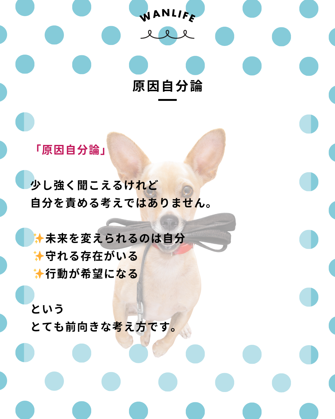 わんわん整体WanLife|愛知・岐阜の犬の整体・メディセル筋膜リリース・オベロンアニマルスキャン・ネオヒーラー・温灸・食事療法|