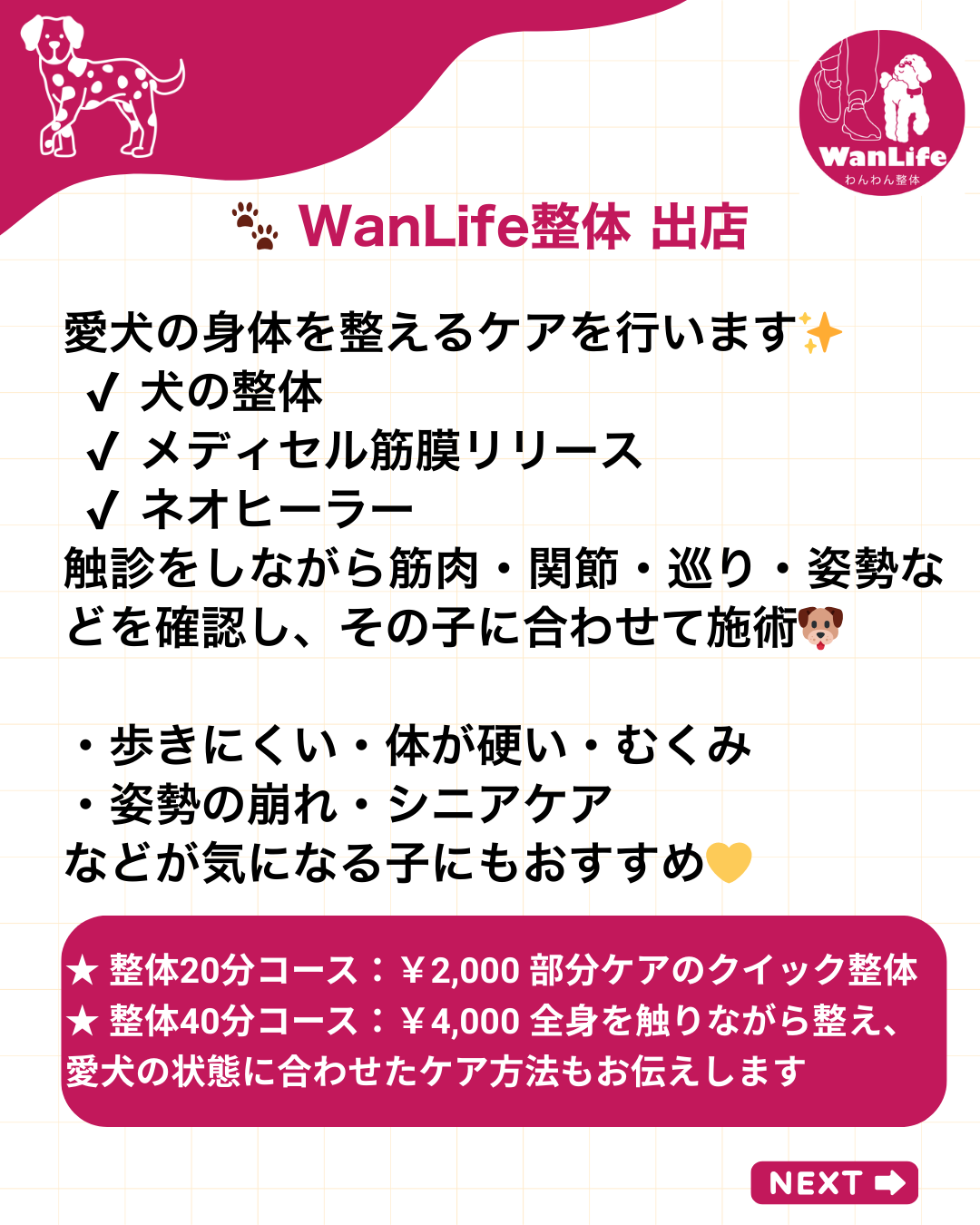 わんわん整体WanLife｜愛知・岐阜の犬の整体・メディセル筋膜リリース・オベロンアニマルスキャン・ネオヒーラー・温灸・食事療法｜