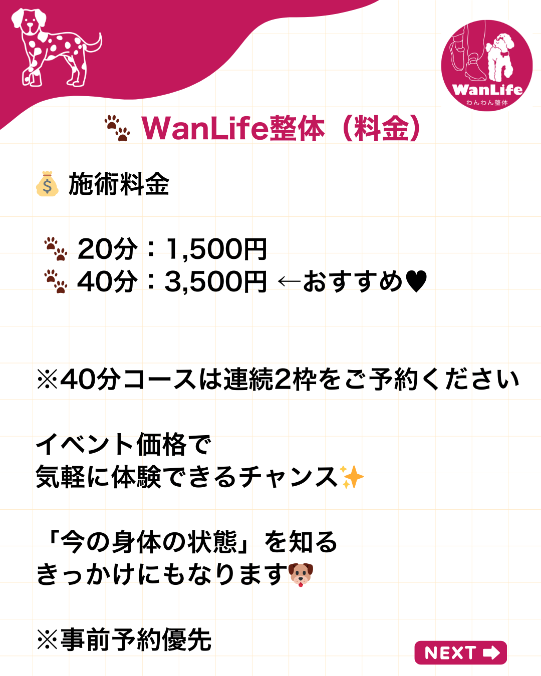 わんわん整体WanLife｜愛知・岐阜の犬の整体・メディセル筋膜リリース・オベロンアニマルスキャン・ネオヒーラー・温灸・食事療法｜