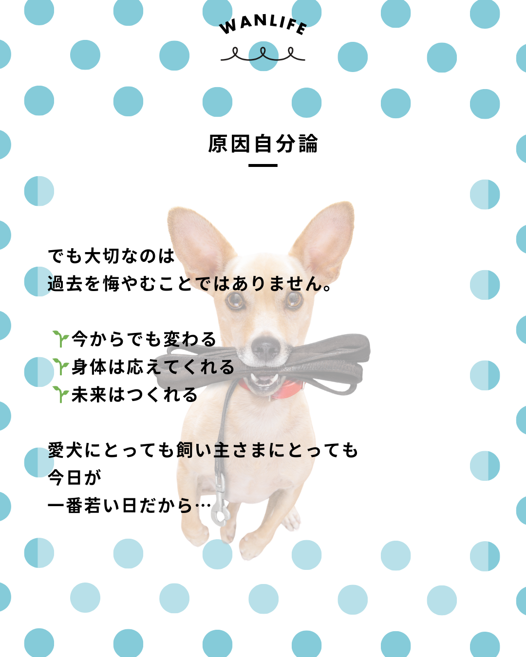 わんわん整体WanLife|愛知・岐阜の犬の整体・メディセル筋膜リリース・オベロンアニマルスキャン・ネオヒーラー・温灸・食事療法|