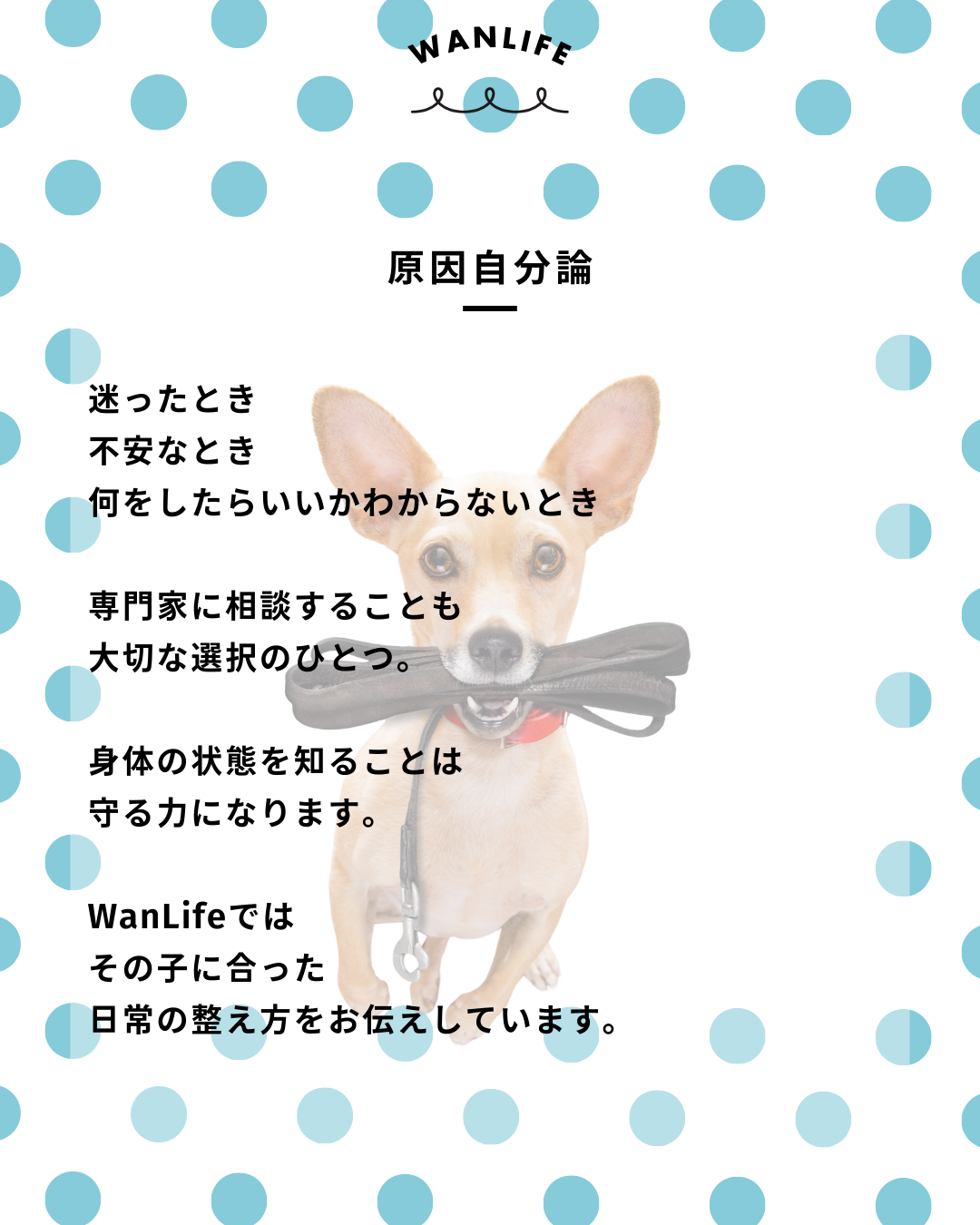 わんわん整体WanLife|愛知・岐阜の犬の整体・メディセル筋膜リリース・オベロンアニマルスキャン・ネオヒーラー・温灸・食事療法|