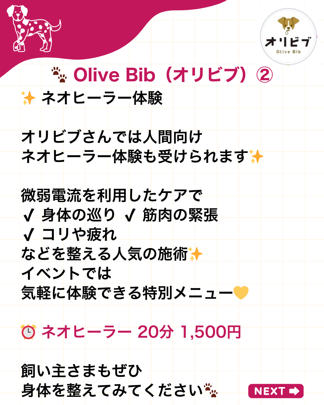 わんわん整体WanLife｜愛知・岐阜の犬の整体・メディセル筋膜リリース・オベロンアニマルスキャン・ネオヒーラー・温灸・食事療法｜