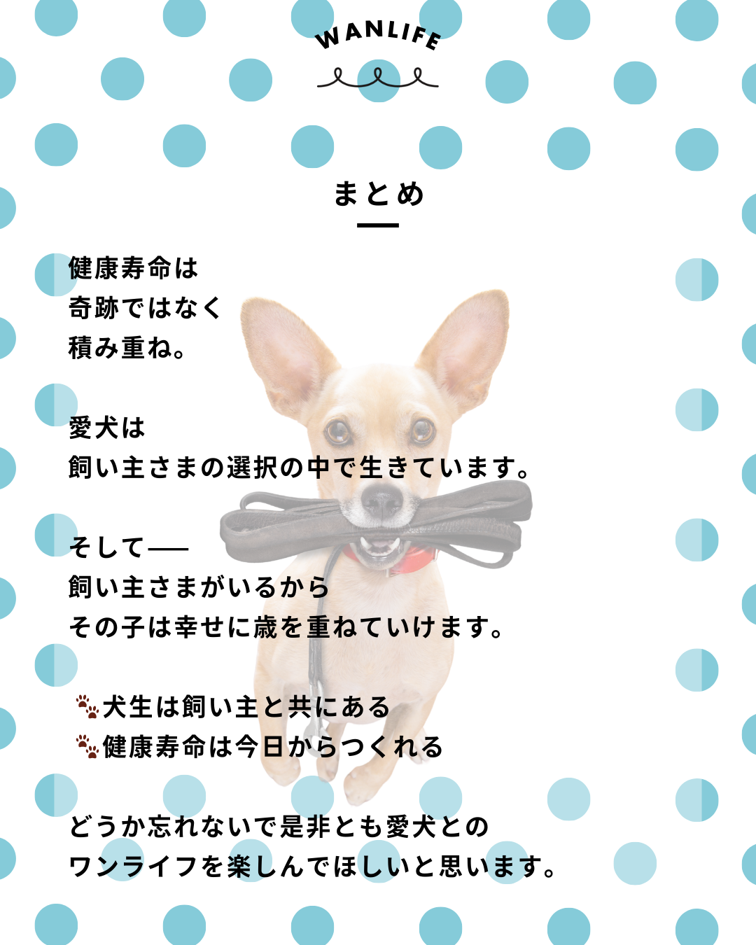 わんわん整体WanLife|愛知・岐阜の犬の整体・メディセル筋膜リリース・オベロンアニマルスキャン・ネオヒーラー・温灸・食事療法|